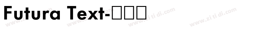 Futura Text字体转换